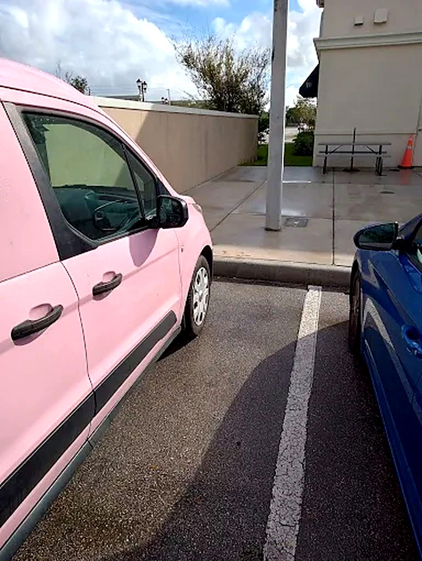 Pink cargo van in a parking lot, waiting on service